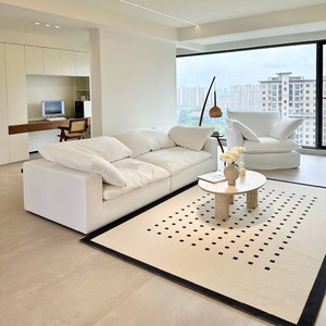黑白奶油地毯客厅高级轻奢防水可擦沙发茶几毯现代简约卧室床边毯