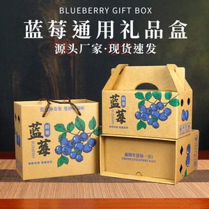 1斤2斤装鲜果蓝莓包装盒礼盒批发高档蓝莓礼品盒空盒水果包装纸箱