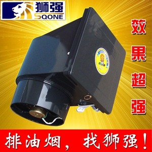 狮强厨房油烟排气扇家用强力换气扇10寸窗式静音吸抽通风机S603A
