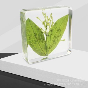 定制透明水晶胶内埋枫叶工艺品环氧树脂亚克力内嵌植物花草标本