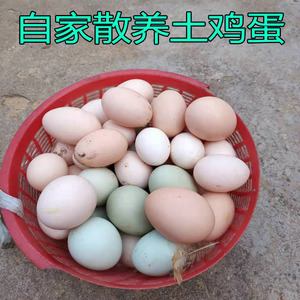 广东正宗农家散养土鸡蛋新鲜粮食走地胡须鸡初生蛋农村草鸡笨鸡蛋