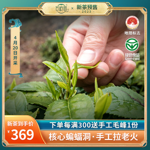 2023新茶预售六安瓜片特级茶叶安徽金寨县蝙蝠洞绿茶开园二采瓜片