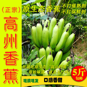 香蕉5斤广东高州原生态新鲜野生banana另有芭蕉粉蕉米蕉丑蕉包邮