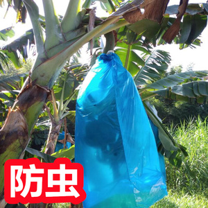 香蕉一体套袋防寒 香蕉套袋专用袋 香蕉袋香蕉套袋杆香蕉套袋神器