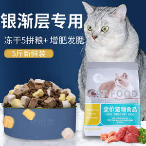 银渐层专用猫粮成猫幼猫十大冻干英短蓝白猫猫粮品牌排行榜
