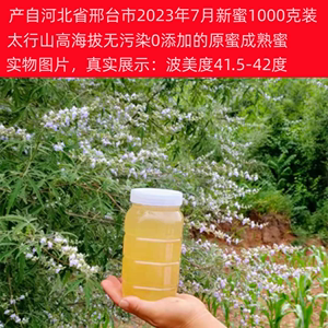 2023年天然封盖荆条蜜纯正农家自产无添加自产白荆条花蜂蜜1000克