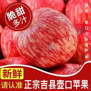 山西吉县苹果壶口苹果水果产地发货绿色无公害有机红富士坏果包赔