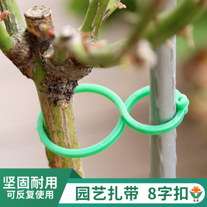园林夹子藤蔓固定夹树枝枝条植物捆绑夹塑料园艺夹工具塑料卡扣