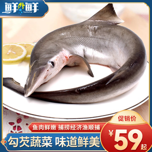 东海顺捕小鲨鱼 尖头鲨深海鱼非白鲨鱼肉新鲜冷冻海鲜水产整条装