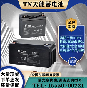 天能TN蓄电池TN-12V120AH100A65A55AH38A30A24A17AH9AH7AH/直流屏