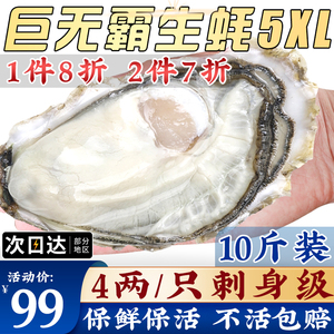 生蚝鲜活10斤特大威海乳山生吃活牡蛎刺身一级海蛎子三倍体100个