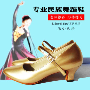 舞鞋维吾族跳舞鞋金跟舞蹈鞋金色新疆舞民族舞鞋藏族舞摩登广场舞