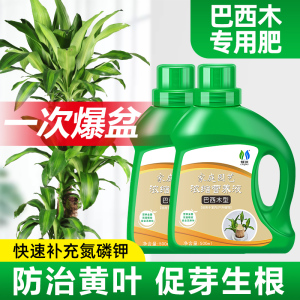 巴西木专用型营养液养花肥料家用盆栽通用幸运木水培水养植物肥料