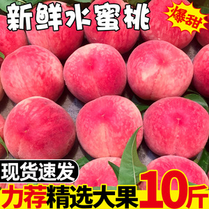 水蜜桃5斤桃子水果新鲜当季整箱应季脆桃现摘水果毛桃现季10超甜