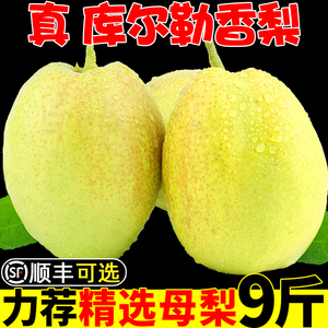 新疆库尔勒香梨新鲜水果10斤当季孕妇特级应季梨子整箱包邮全母梨