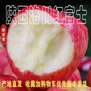 陕西洛川一级红富士苹果新鲜水果10斤包邮烟台当季整箱冰糖心延安