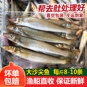 大沙丁鱼大沙尖鱼海捕鲜活冷冻潮汕海鲜水产新鲜大尖嘴鱼500g