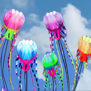 新款 软体水母风筝 升级版 大型比赛风筝  彩绘水母风筝 尼龙伞布
