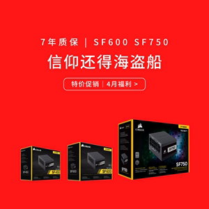 海盗船SF450/SF600/SF750白金全模组迷你ITX SFX小电源600W定制线