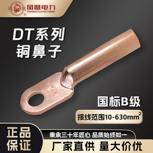 凤凰电力DT10-500平方铜鼻子国标B级堵油铜接头紫铜接线端子线耳