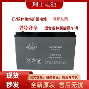理士6-EVF-100蓄电池12v76AH86AH120AH150AH电动叉车洗地机免维护
