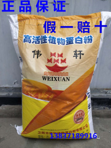伟轩谷朊粉 高活性植物蛋白粉 小麦蛋白粉食品级烤面筋用粉 25kg