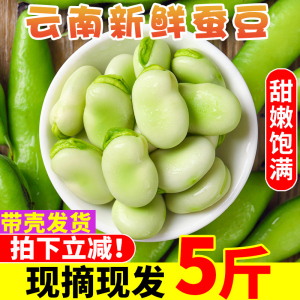 云南新鲜蚕豆5斤农家带壳生本地罗汉兰花胡豆青豆荚蔬菜整箱包邮