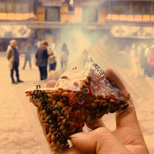 西藏扎基拉姆年食子糌粑粉烟供彩色青稞米朵玛拉萨直发