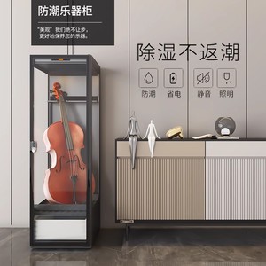 LENTHEM领顿乐器干燥箱 大提琴 中提琴 贝斯 吉他防潮箱 DMG-450D