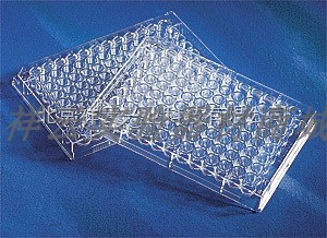 现货Corning康宁3635 96孔板UV-透明平底96孔紫外微孔板UV酶标板