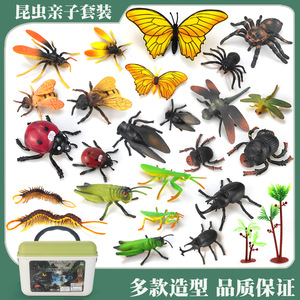 仿真昆虫模型蝴蝶七星瓢虫独角仙蜜蜂蝴蝶蚂蚱儿童玩具认知教具