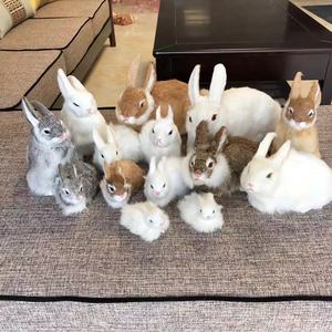 仿真兔子皮毛工艺品狗猫兔子玩具开心兔动物摆件模型动物厂家直销