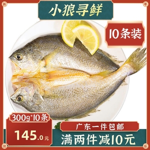 黄花鱼 新鲜冷冻300g*10条 开背小黄鱼大黄花鱼海鲜水产 大黄鱼鲞