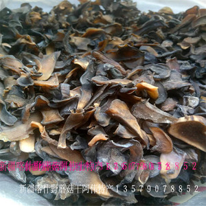 新疆野蘑菇  喀什胡杨黑蘑菇
