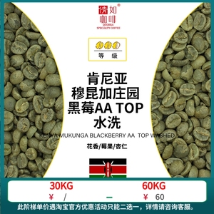 23产季 1kg 咖啡生豆 肯尼亚 穆昆加庄园 黑莓AA TOP 水洗