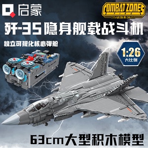 歼35战斗机拼装积木模型2024新款高难度军事飞机玩具男孩子礼物