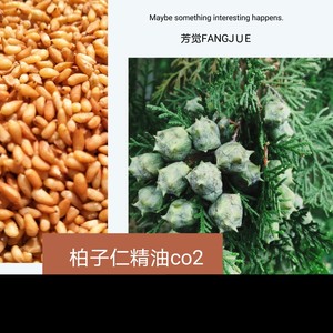 柏子仁精油co2 真材实料新鲜拍子仁超临界提取松柏香气芳觉原料