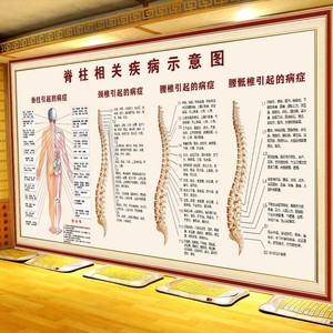 脊椎相关疾病示意图脊椎腰椎引起的病症宣传画理疗养生馆正骨挂图