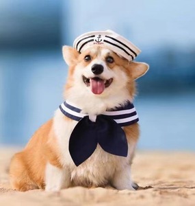 【DOG DEPT】水手帽子配搭蓝围巾套装金毛狗狗拍照写真宠物大狗