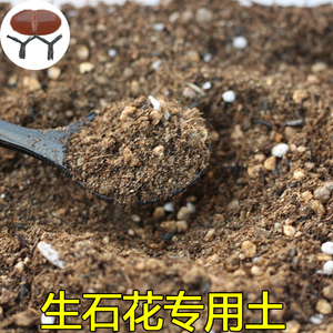 生石花专用土 多肉通用 颗粒土小苗土 透气不板结 景天营养土