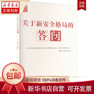 正版包邮 关于新安全格局的答问 张伟 等 书籍