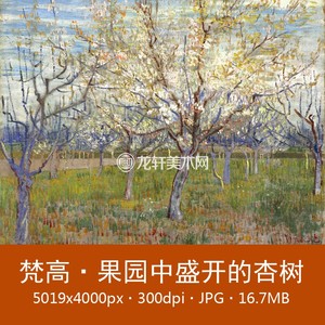 梵高 果园中鲜花盛开的杏树 荷兰后印象派乡村田野风景油画电子图