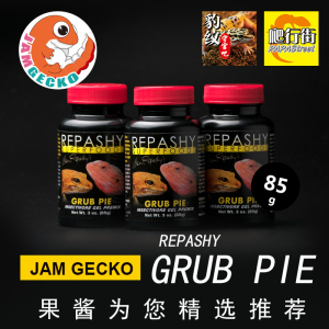 进口Repashy守宫鬃狮GrubPie爬虫派爬宠凝胶饲料果冻派凝胶派虫粉