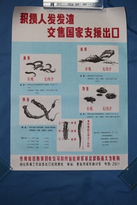 六七十年代 积攒人发发渣 交售国家支援出口 宣传海报广告招贴画