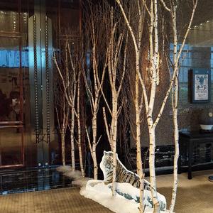 白桦树干干树枝树餐杈树桩枯台树装饰屏风白木桦原木客厅厅阳JJG