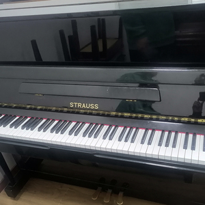 【上海海音琴行】strauss施特劳斯二手家用立式钢琴