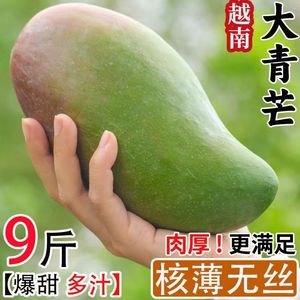 9斤装 越南青芒水果芒果新鲜生鲜应季青芒果