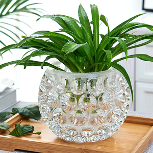水培器皿创意玻璃花盆水养植物瓶透明花器绿萝铜钱草花瓶圆形容器