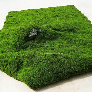 仿真塑料曲丝苔藓毯青苔软装绿化室内外造景打底地毯装饰草皮草坪