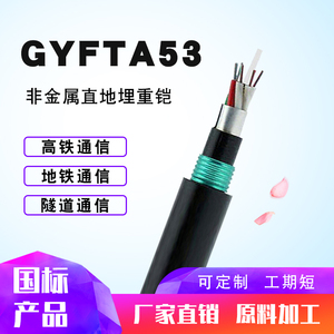 GYFTA53-12B1单模防鼠光纤4/8/24/48/96芯非金属重铠装直地埋光缆